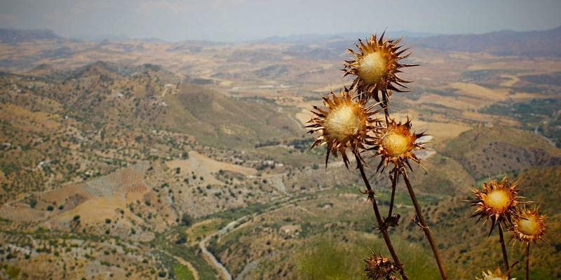 The Ultimate Guide to Quoting Jobs Faster